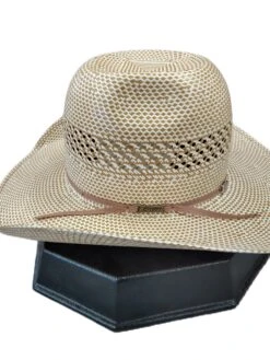 American Hat Co. Straw Hat - #TC 8870 -Boutique Western Clothing Store IMG 20210303 115720