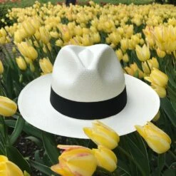 Ronnel Panama Straw Fedora - The Martin -Boutique Western Clothing Store medium c4bfccb0 6624 4cb2 a694 62fefa6b793e